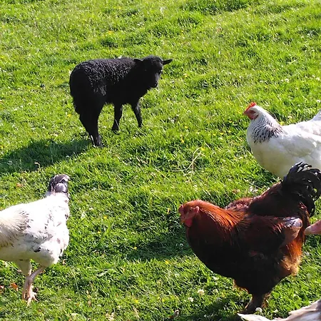 בית נופש La Ferme Du Parc