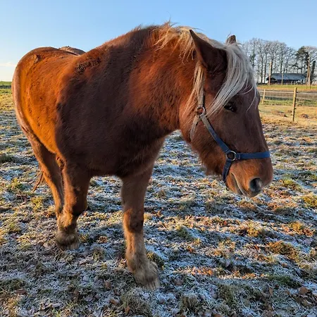 La Ferme Du Parc בית נופש