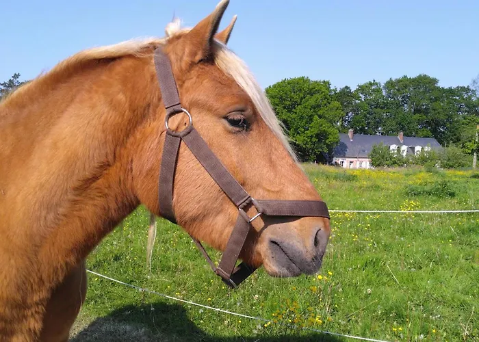La Ferme Du Parc Сasa de vacaciones *