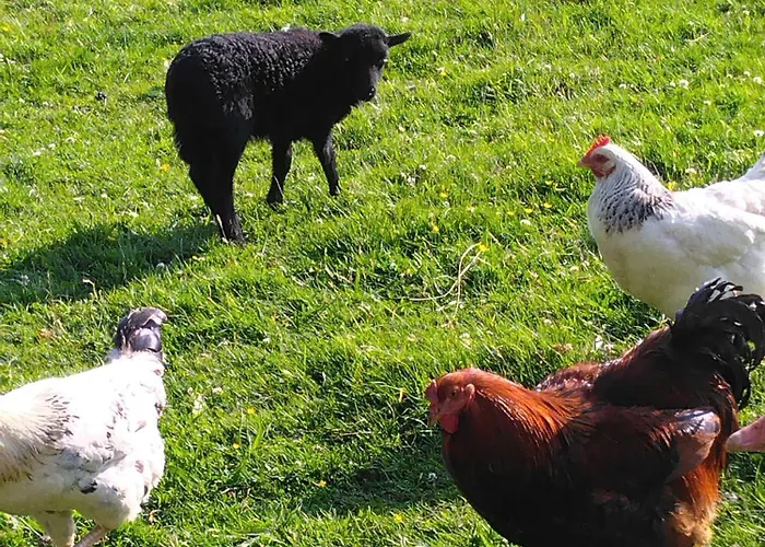 Сasa de vacaciones La Ferme Du Parc