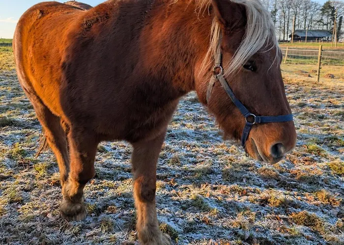 La Ferme Du Parc Сasa de vacaciones